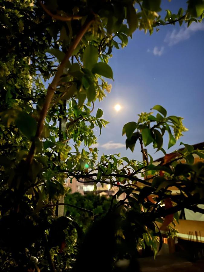 Apartmani Goran i Jelena Zec Budva Bagian luar foto
